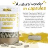 Irish Sea Moss Capsules | Seamoss Herbal Supplements with Bladderwrack