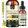 GORNVB (2 Pack) Mullein Drops for Lungs - Lungs Cleanse
