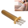 Magnetotherapy Pen Meridians Point Lymphatic Drainage Massage Stick Fork for