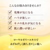 Yamada Beekeeba RJ Lotion S, Moist 4.1 fl oz (120