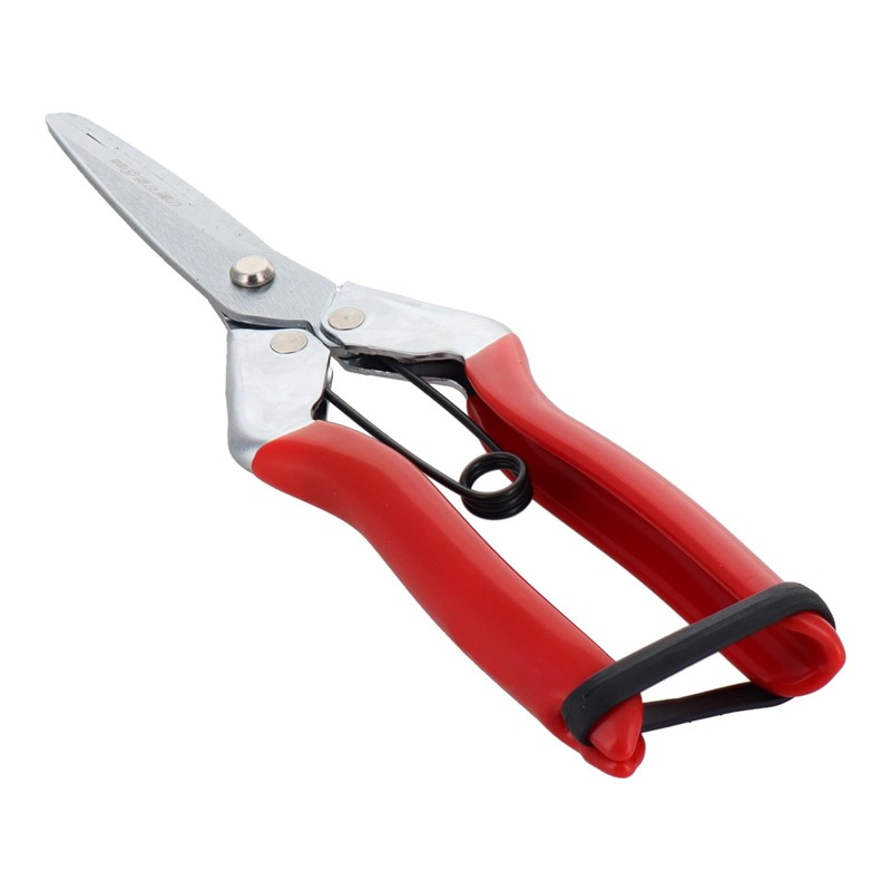 Sita Length Blade Father started calybium, Sprout Cutting Scissors 205