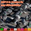 100Pcs 8mm Numbered Pigeon Leg Bands with 8 Color, Quail