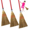 Skybooly 3 Pcs Small Broom for Kids and Toddlers Child