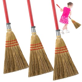 Skybooly 3 Pcs Small Broom for Kids and Toddlers Child Lobby Broom Kid Broom Straw Broom with Solid Wood Handle for Kitchen Restaurants Home, Red