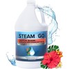STEAM AND GO Tropical Bloom Scented Demineralized Water for Steam