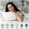 Microfiber Pillow Case 2 Pairs - Housewife Pillowcases - Plain