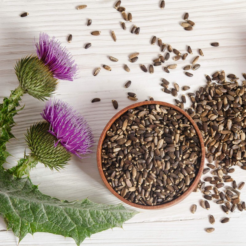 Milk thistle seeds ground (500 g), 100% natural and pure,