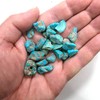 DVH 1oz Sleeping Beauty Turquoise Mini Nuggets Stabilized Genuine 30g