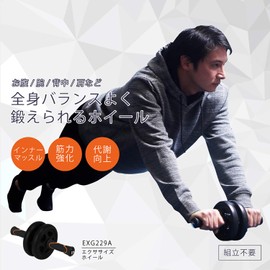 ALINCO Exercise Wheel Ab Roller EXG229A