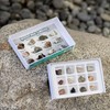 Educational Insights Igneous Rock Collection, de 8 años en adelante,