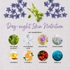 Healthspan Day-Night Skin Nutrition Supplement | Contains Soy Bean Extract