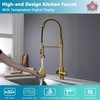 GICASA Kitchen Faucet with Temperature Digital Display, 304 Stainless Steel