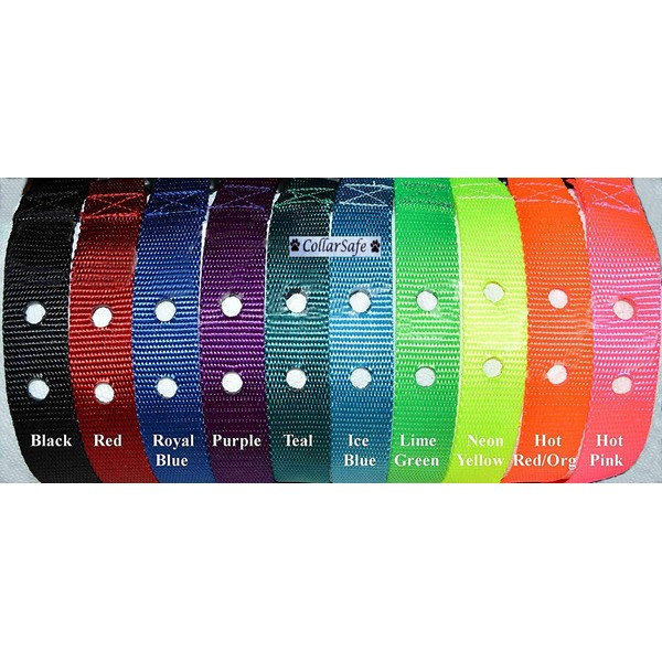 CollarSafe 1" Wide Nylon Replacement Collar w/Heavy Duty Buckle -