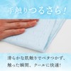 Alphax AP-440215 Cool Towel, Cooling Towel, Mint, 13.8 x 13.8