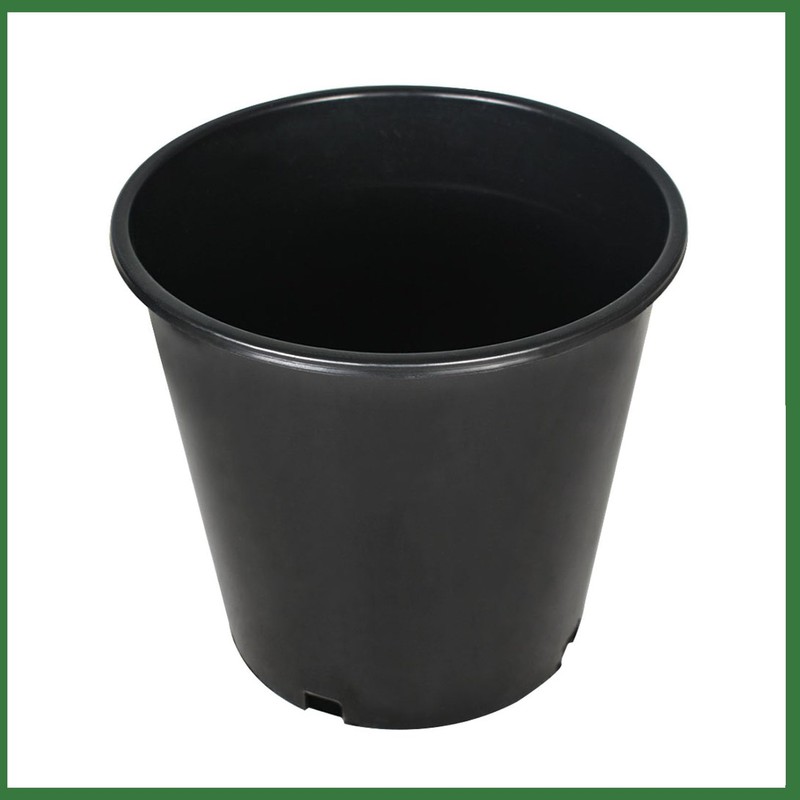 raseparter 10 Pack 2 Gallon Plastic Planter Nursery Seedling Pots