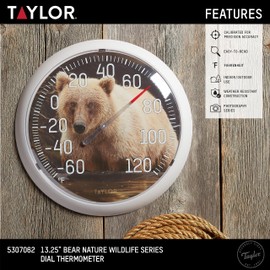 Taylor Nature Series Bear Indoor Outdoor Dial Thermometer, Easy to Read Wall Decor for Patio, Pool, Yard, Garden or Garage, 13.25 Inch, Tan Bezel