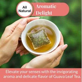 225 Natural Guava Leaves Tea Bags, Te De Hojas De Guayaba, Premium Guava Leaf Tea, Caffeine Free Herbal Tea, Non-GMO, Sugar Free by Akshit