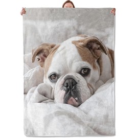 Bulldog Theme Blanket Gifts for Women Girls, Soft Warm Lightweight Flannel Throw Blankets for Living Room Home Sofa Travel Decor 50" x 60"