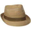 Henschel Men's Polyester Braid Fedora with Solid Grosgrain Band and