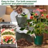Doter All-Natural Potting Soil for Anthurium & Indoor Plants 2qt