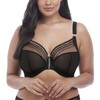 Elomi Women's Plus-Size Matilda Underwire Plunge Bra, Black, 36E