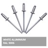 SKIR'CO Pack of 500 Painted Blind Rivets 3.2 x 8