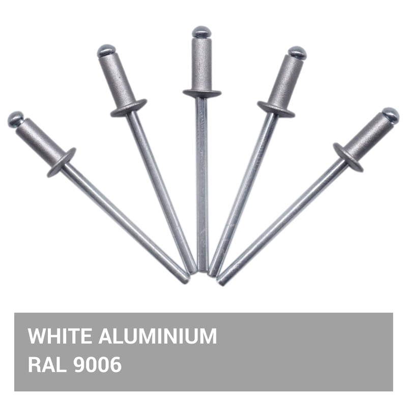 SKIR'CO Pack of 500 Painted Blind Rivets 3.2 x 8