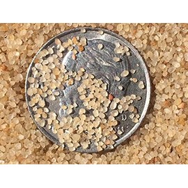 Jurassic Sands Golden Cambrian Beach Sand Play Sand - 47 Pound Sandbox Sand