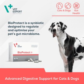 Vet Expert Advanced Probiotics Supplement for Dogs and Cats, 60 Capsules, Promotes Optimal Gastrointestinal Health with Live Cultures, Prebiotics, and Fibre