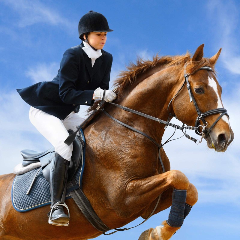 Coldairsoap 18 inches Black Crop for Horse, Faux Leather Horse