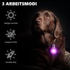 Pack of 6 Dog Collar Pendants, LED Light Pendants, Light