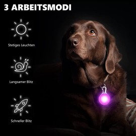 Pack of 6 Dog Collar Pendants, LED Light Pendants, Light Collar with 3 Flashing Modes, Dog Collar Pendant