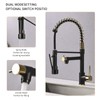 AIMADI Kitchen Faucet,Black Kitchen Faucet with Sprayer,Commercial Style Matte Black