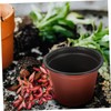 BESPORTBLE 20pcs Garden Nursery Pots Decorative Plastic Flower Pots Holes