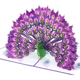 Magic Moments® Royal Feathers Pop Up Card – Handmade Birthday Card for Women & Men – Anniversary Card, Get Well, Congratulations Card – Peacock 3D Greeting Card – Birthday Card for Someone Special