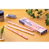 Staedtler Pencil 2B Shakata Pencil Pink Ones Series 1 Dozen