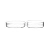 QWORK Glass Petri Dish Petri Plates with Lid, Thicken, 60mm