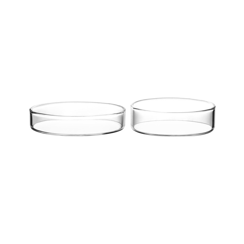 QWORK Glass Petri Dish Petri Plates with Lid, Thicken, 60mm
