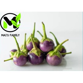 Mai's Family ROUND PURPLE  EGGPLANT Seeds ,  Cà Pháo Tím  {Organic} - 50