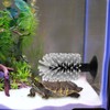 2pcs Turtle Brush with Suction Cup, Tortoise Shell Cleaning Scrub,