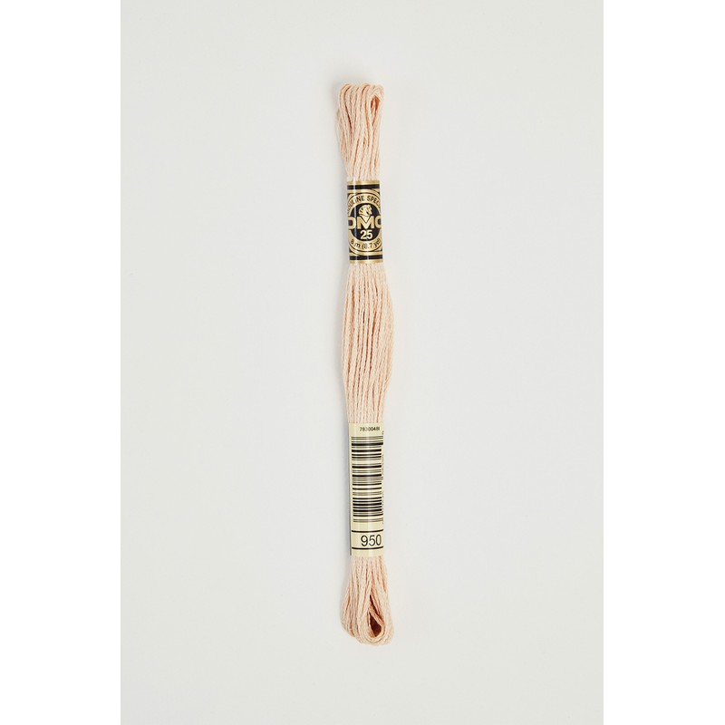 DMC Mouliné Stranded Cotton Embroidery Thread - Browns - 3031