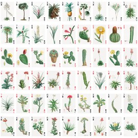 FLONZGIFT Cactus and Succulents Playing Cards (Poker Deck 54 Cards All Different) Vintage Antique Botannical Books Illustration by Pierre Redoute