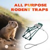 Gopher Trap with Chain 4/8 Pcs Outdoor Gopher Mole Vole