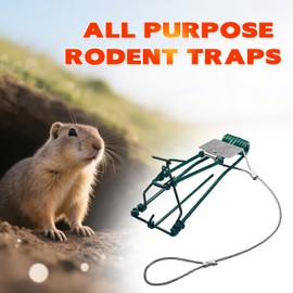 Gopher Trap with Chain 4/8 Pcs Outdoor Gopher Mole Vole Traps Killer for Lawns Easy Set (4)