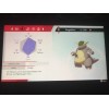 Pokémon Sword and Shield Shiny Kangaskhan and Tauros Bundle 6IV