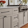 Coinkoly 10 Pack 3-3/4''(96mm) Matte Black Cabinet Handles Kitchen Black