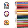 Barrilito Lápices largos de doble color (24-48) Caja con 24