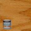 Minwax PolyShades Wood Stain + Polyurethane Finish – ½ Pint,