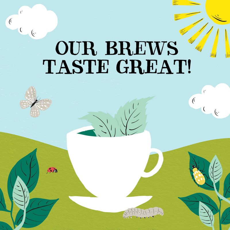 Clipper Organic Peppermint Tea Bags | 120 Infusion Mint Teabag