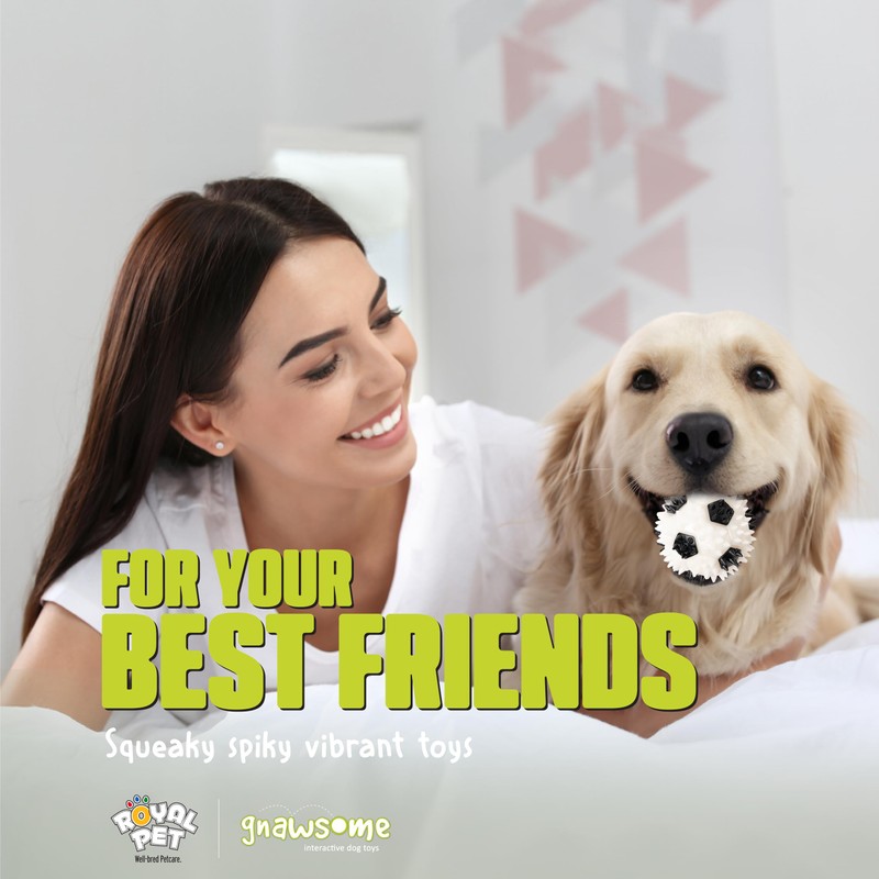 Gnawsome 3.5” Squeaker Soccer Ball Dog Toy - Medium, Promotes